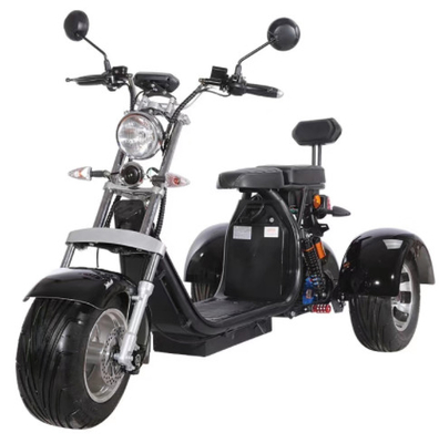 Motorino elettrico della gomma grassa della ruota dell'adulto 2000w 3 con Seat per gli adulti 12AH 20AH 40AH