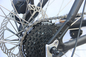 bici motorizzata portatile della bici dell'azionamento della ruota 200w 2 della gomma grassa a 29 pollici adulta elettrica di 40 miglia orarie E