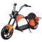 Piccolo motociclo elettrico del motorino per la motocicletta elettrica degli adulti per 55 miglia orarie legale della strada degli adulti i 40 50