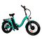 Bici piegante elettrica compatta Mini Foldable Electric Bicycle a 16 pollici a 20 pollici di 500w 350w
