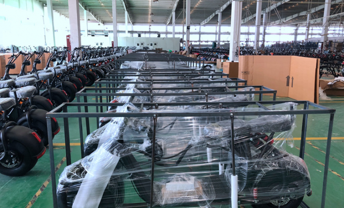 Tempo di carico elettrico del motorino 2000w 1500w 3-5h del Eec Citycoco 20