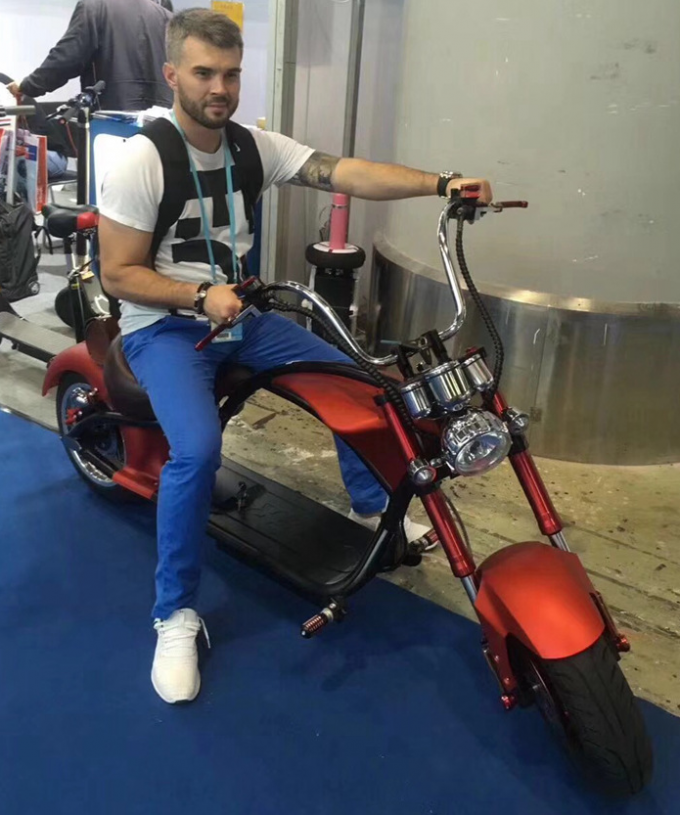 Tempo di carico elettrico del motorino 2000w 1500w 3-5h del Eec Citycoco 26