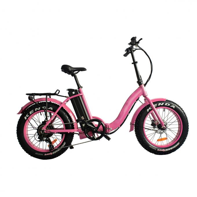 Bici elettrica spessa a 20 pollici piegante di Tiro della gomma della sospensione completa elettrica grassa del mountain bike 5