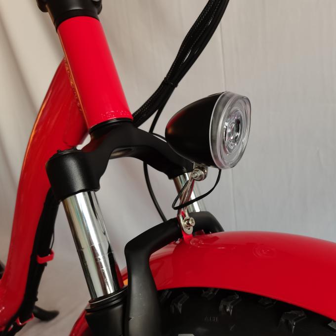 Bici elettrica spessa a 20 pollici piegante di Tiro della gomma della sospensione completa elettrica grassa del mountain bike 7