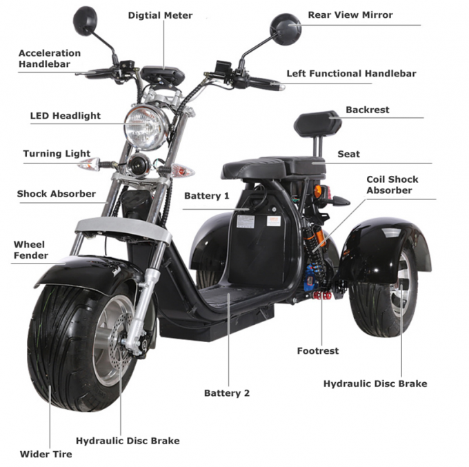 Motorino elettrico della gomma grassa della ruota dell'adulto 2000w 3 con Seat per gli adulti 12AH 20AH 40AH 0