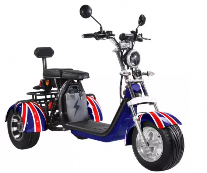 Motorino elettrico della gomma grassa della ruota dell'adulto 2000w 3 con Seat per gli adulti 12AH 20AH 40AH 1