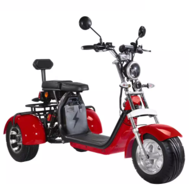 Motorino elettrico della gomma grassa della ruota dell'adulto 2000w 3 con Seat per gli adulti 12AH 20AH 40AH 2