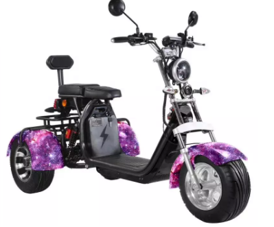 Motorino elettrico della gomma grassa della ruota dell'adulto 2000w 3 con Seat per gli adulti 12AH 20AH 40AH 5