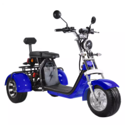 Motorino elettrico della gomma grassa della ruota dell'adulto 2000w 3 con Seat per gli adulti 12AH 20AH 40AH 6