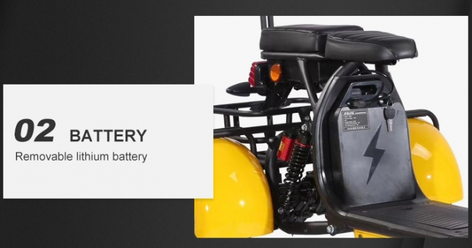 Motorino elettrico della gomma grassa della ruota dell'adulto 2000w 3 con Seat per gli adulti 12AH 20AH 40AH 8
