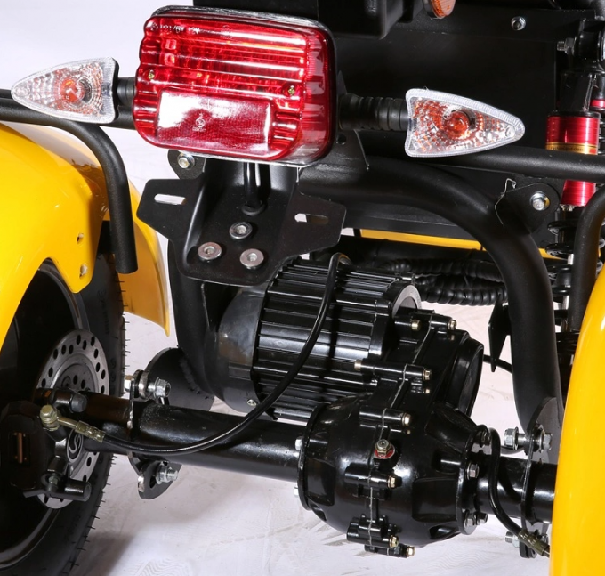 Motorino elettrico della gomma grassa della ruota dell'adulto 2000w 3 con Seat per gli adulti 12AH 20AH 40AH 12