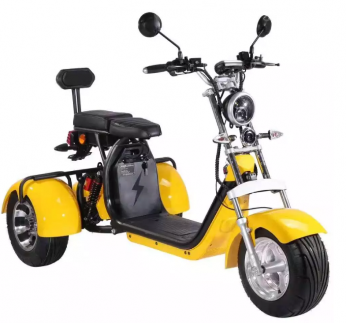 Motorino elettrico della gomma grassa della ruota dell'adulto 2000w 3 con Seat per gli adulti 12AH 20AH 40AH 15