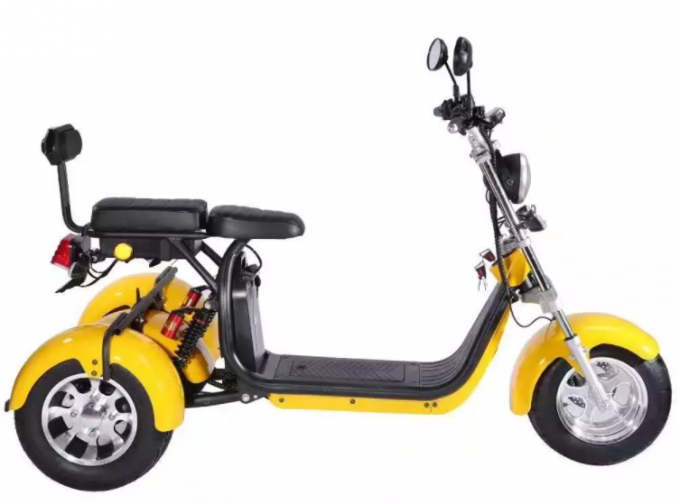 Motorino elettrico della gomma grassa della ruota dell'adulto 2000w 3 con Seat per gli adulti 12AH 20AH 40AH 16