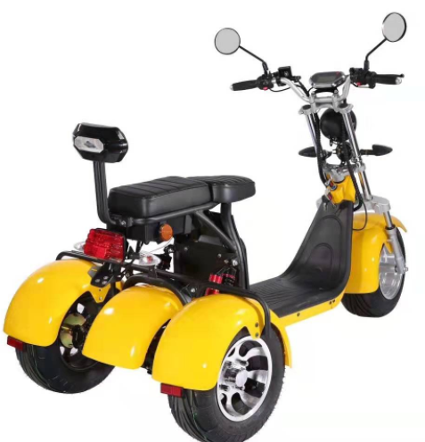 Motorino elettrico della gomma grassa della ruota dell'adulto 2000w 3 con Seat per gli adulti 12AH 20AH 40AH 19
