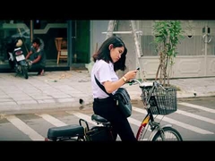 Bici elettrica da 20 pollici 36V da 20 pollici con display LCD da 250 W a basso costo per città elettrica da città