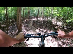 Bicicletta elettrica da magazzino con motore per pneumatici grassi 250w 750w 29 in Cina