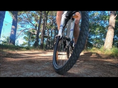 rothar leictreach magazzino ue bicicletta elettrica di alta qualità prezzo bicicletta elettrica con batteria bassa 36v