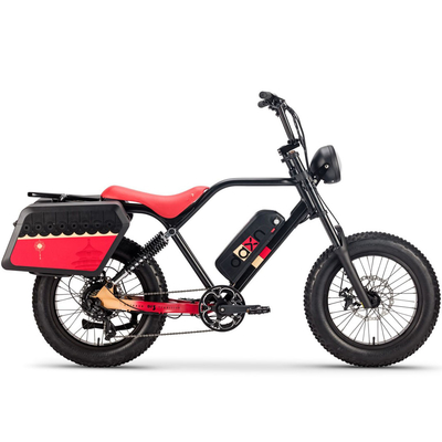 gomma grassa della batteria 48v 20AH della bicicletta di 250W 750w Elektrische Fiets per gli adulti