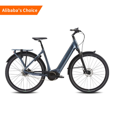 ruota elettrica di alto potere due della bici 750w di City Road della lunga autonomia 25km/H