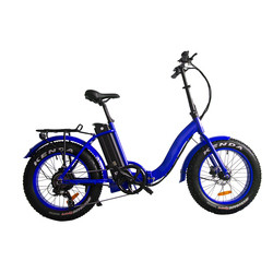 Motore posteriore del hub che piega la lega di alluminio 48V Ebikes portatile